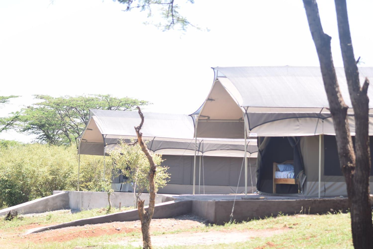 Bed and Breakfast Maasai Mara Safari Camp In Kenya Sekenani Экстерьер фото